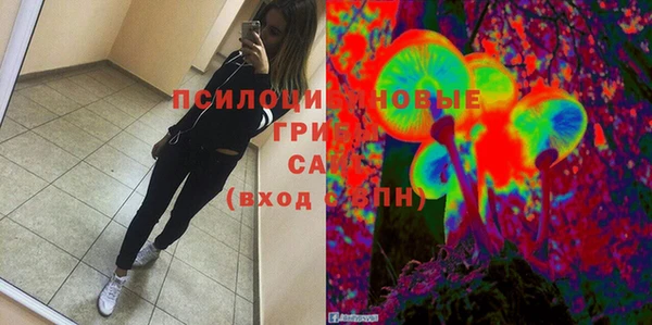 Альфа ПВП Арсеньев
